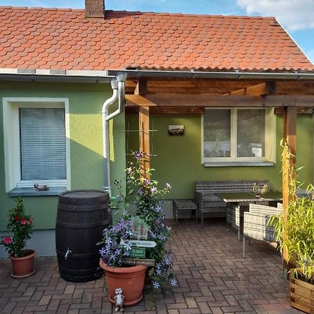 Apartamento Toepferblick Olbersdorf Exterior foto