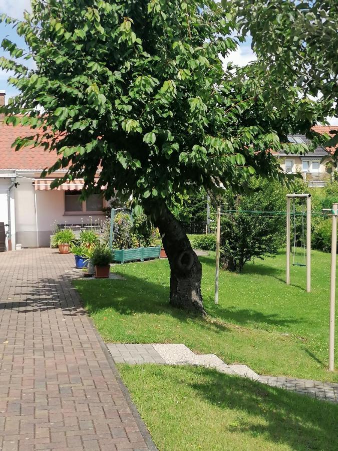 Apartamento Toepferblick Olbersdorf Exterior foto